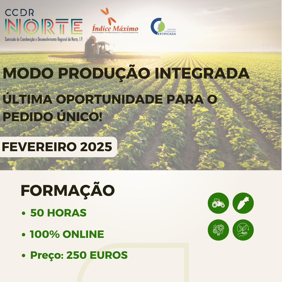 Modo Produção Integrado - Pedido Único - Image 2